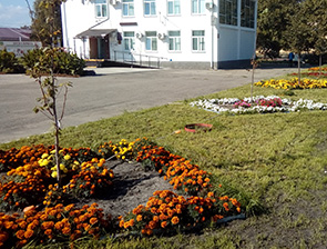 ������� � �� �������� ������ � �����