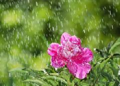 ������� ������ �� 29 ��� � �� ���� ����������� �����