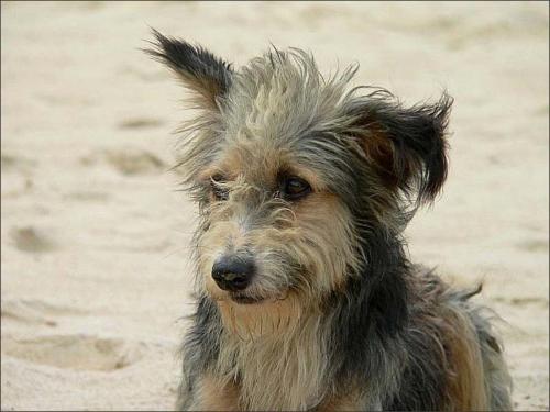 � ������� ����������� 21 ������ ����� ����������� ����� ��������� �����