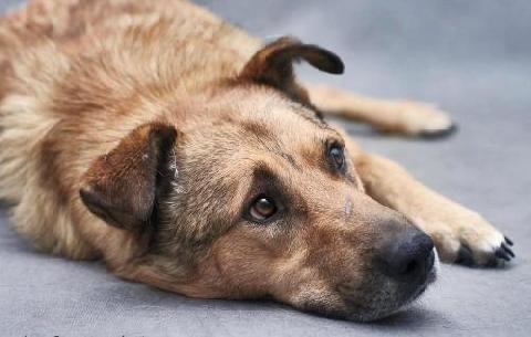 � ������� ���������������� 18 ������ ����� ����������� ����� ��������� �����