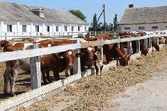 �� ������ ���������-�������������� �������� �������� ������ �� 9 ������� 2015 ����