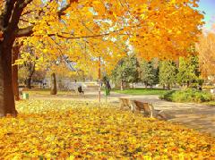 ������� ������ �� 1 �������