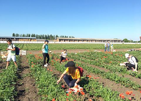 � ���������� �������� �������� ����