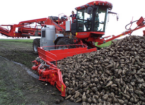 � ���������� ������������ ������ ������ � ��������� ������