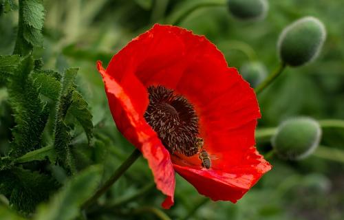 � ������� ������ ������� 4-� ���� ���������������� ����������������� ����� ����-2022�