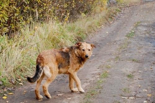 21 ������� � ���������������� �������� ��������� ����� ����������� ����� ��������� �����  