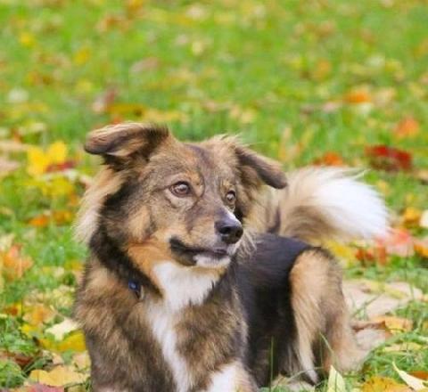 8 ������� 2022 ���� � ������� �������� ��������� ����� ����������� ����� ��������� ����� 