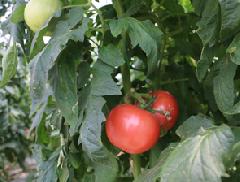 ������� ����� � � ������� ������� �� ������������ ������