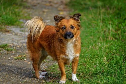 � ������� �������� ��������� 23 ��� ����� ����������� ����� ��������� �����