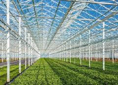 ������� ����� �������� ��������� �� ������������ �������� ��������