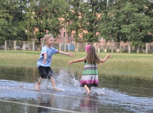 �� ������ ���� ����� 