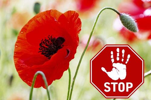 ��������� ������ �������� ������!