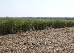 �� ��������� �������� ��������