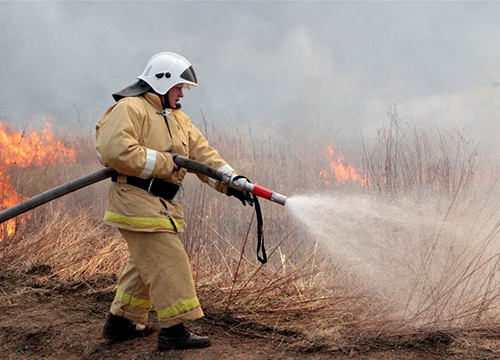 ������������� ����������� ���������� � �������� �������� ������������