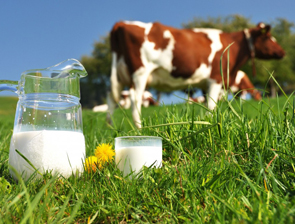 �������� ��������� �� ������ � ���������