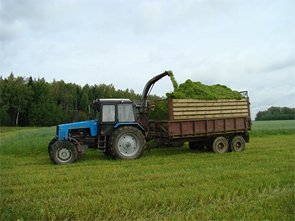 � ������� ������ ���� �� ��������� ������ �������� �� 127%