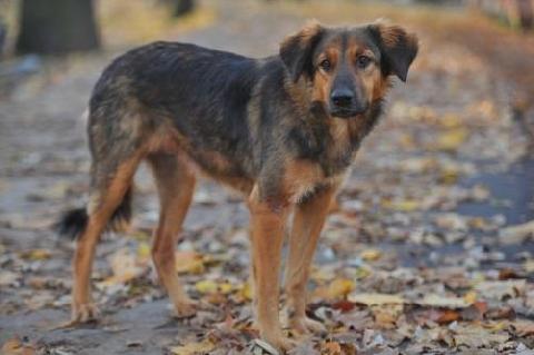 24 ������� � ����������� �������� ��������� ����� ����������� ����� ��������� �����