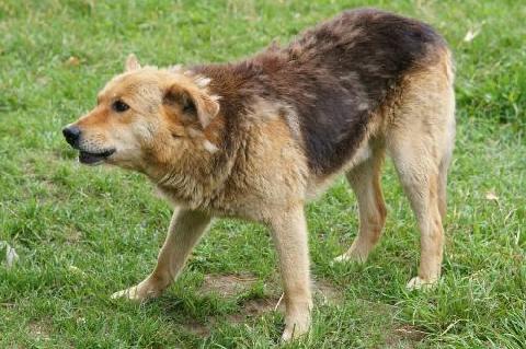 15 ������ � ����������� �������� ��������� ����� ����������� ����� ��������� �����  