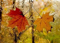 ������� ������ �� 27 ������