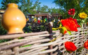 � "�������" 1 ��� ��������� ������������ ����� 