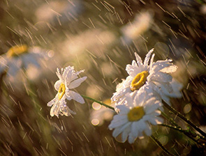 � ������������� ���� 19 � 20 ���� ��������� ������� �����