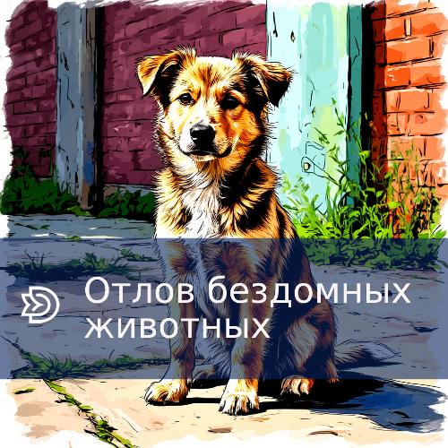 ����� ��������� ��������