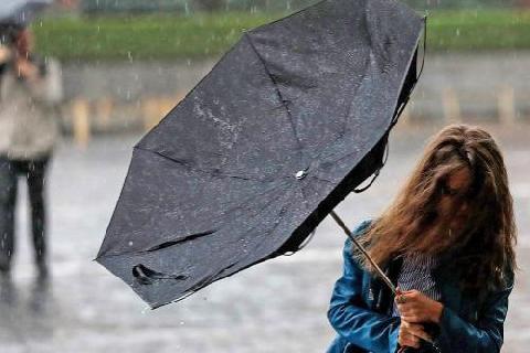 ������������ ����������� ������� � ������������ �������� �������������� ���� �����������