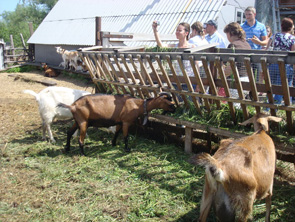 ������� �� ������ ��� ������ ����������� ���������