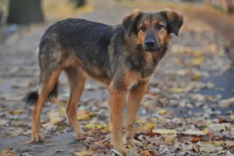 19 ������� � ������� �������� ��������� ����� ����������� ����� ��������� �����  