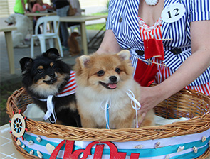 ������� ���� �������