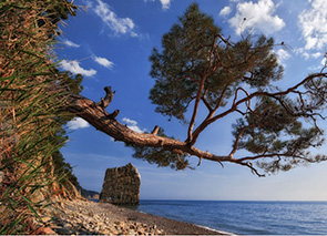 �� 14 ������ ����������� ������ �� ������������ ������� �� ��������� ��������� ����������