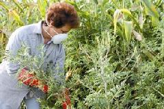 �� ��������� �������� ��������