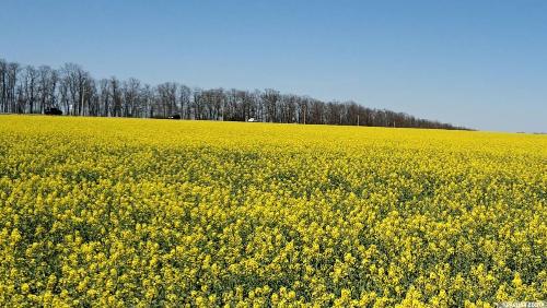 �� ����� �������� ������ ������ ������ ���� 