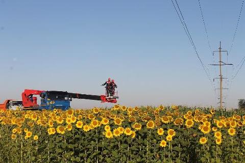  �������� ������� ��������������� 520 �� ��� � ������������� ������������ 