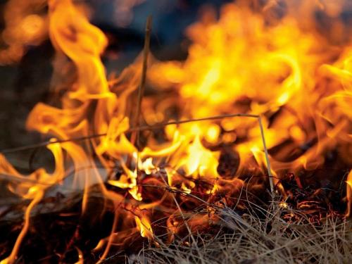 � ������������� ���� ����������� ������������ ���������������