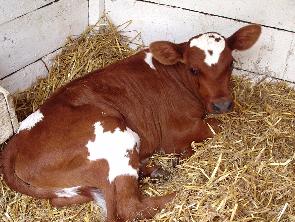 �������� �������������������� ��������������������! 