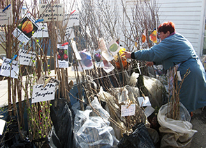 ��������������� �������� ����� �������� �������� � ���������� ����������