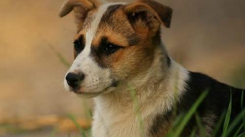 21 �������� � ������������� �������� ��������� ����� ����������� ����� ��������� ����� 