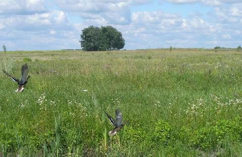 ��������� ������ �������� ������!