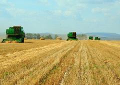 � ���� ���������� �������� ������ ����������� ������� ��������� 70 ��������� � �������