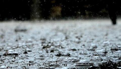 �� ������ ���������� ����������� ��������� ��������������