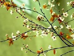 ������ �� ������ ��������� ������������ �� +23 ��������