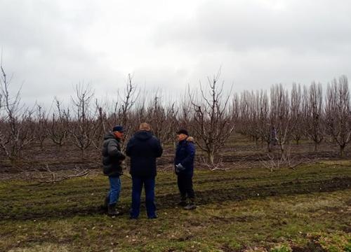 � ������� ������ ���� ������ �� ������� �����