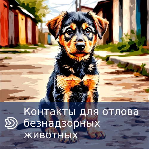 �������� ��� ������ ������������ �������� � ������� ������