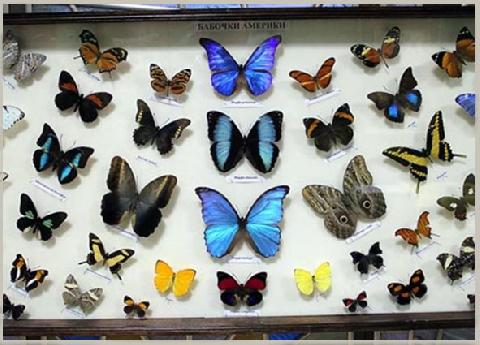 �������� ��������� ������