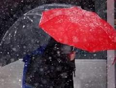 ������� ������ �� 29 ������