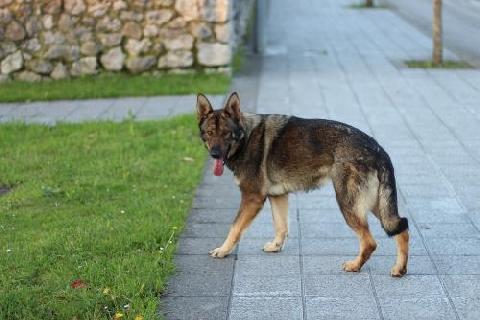 16 �������� � ���������������� �������� ��������� ����� ����������� ����� ��������� �����