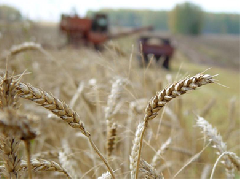 � �������������� �������� ������ � ������������ ��������