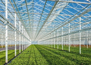 ������� ����� �������� ��������� �� ������������ �������� ��������