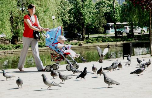 ����� 47,5 ����� ��������� ����� �������� ������� �� ������� �������